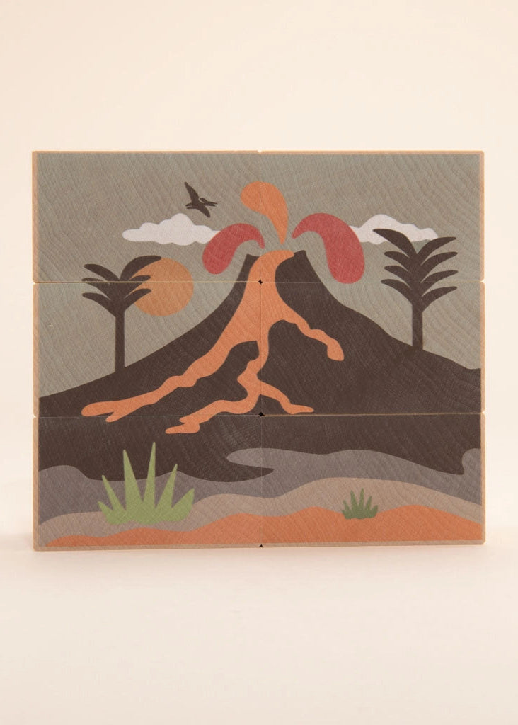 ENVIRONMENTS DINOSAUR BLOCKS