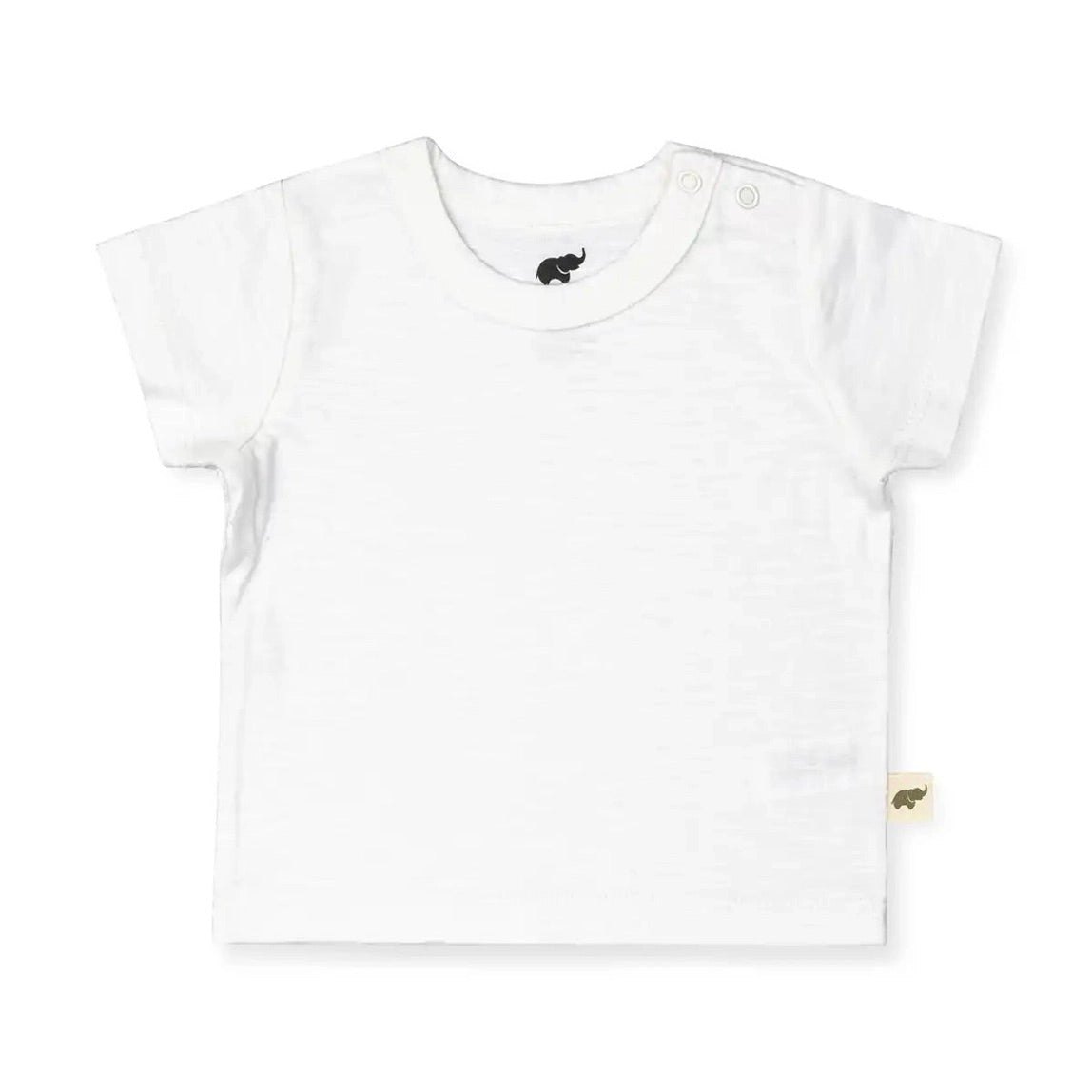 SHORT SLEEVE CREWNECK
