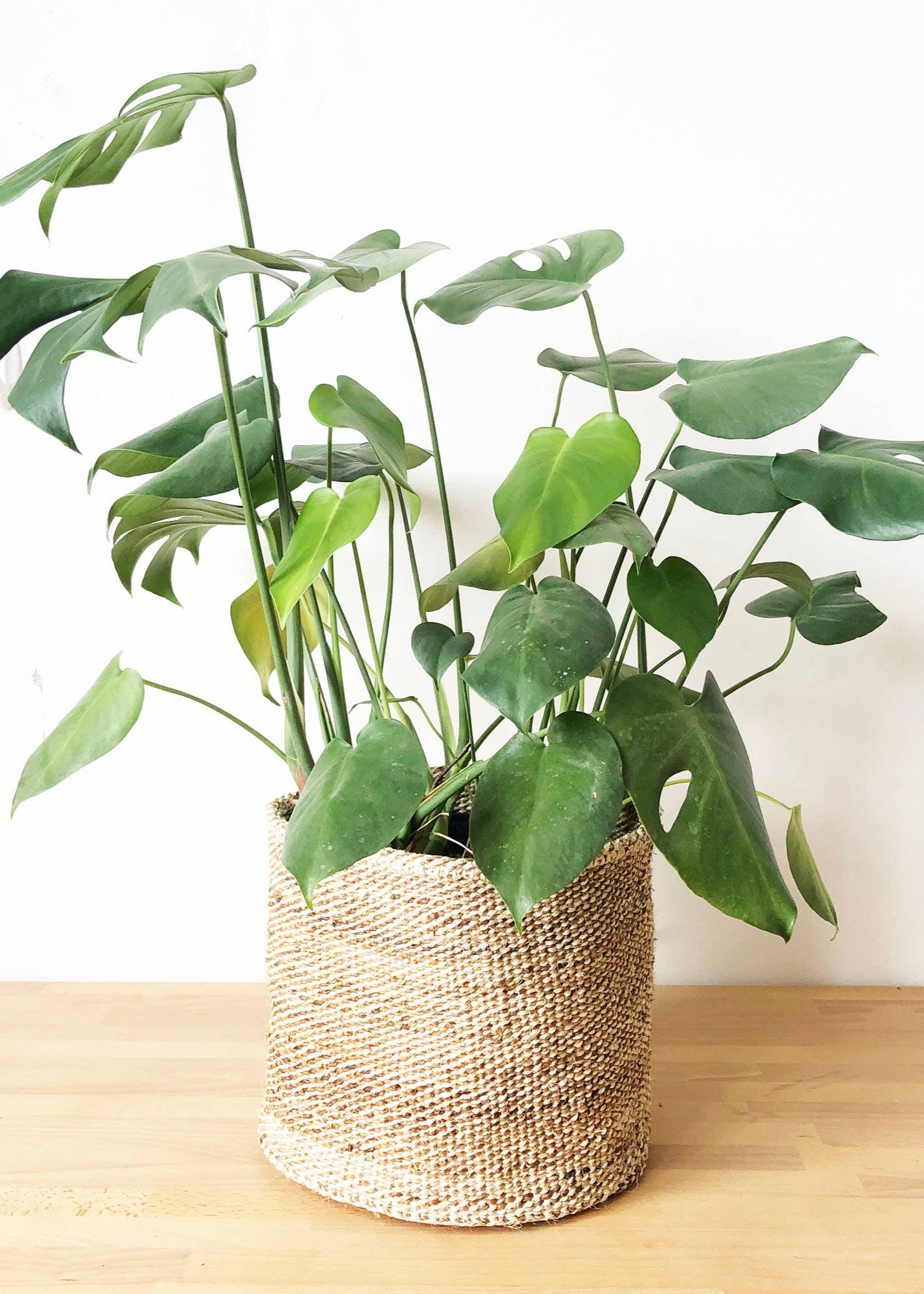 LARGE BANANA LEAF BASKET