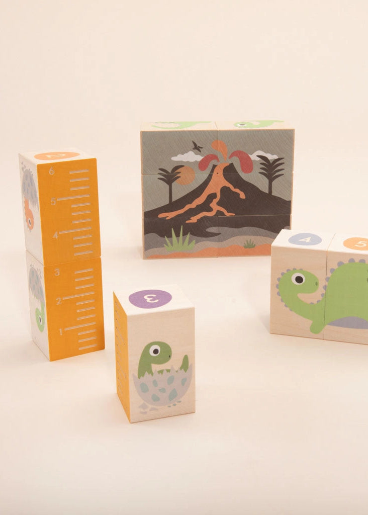 ENVIRONMENTS DINOSAUR BLOCKS