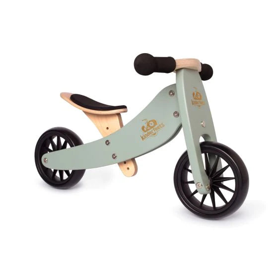 2-IN-1 BALANCE BIKE